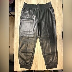 Express Pleather Jogger Black Pants